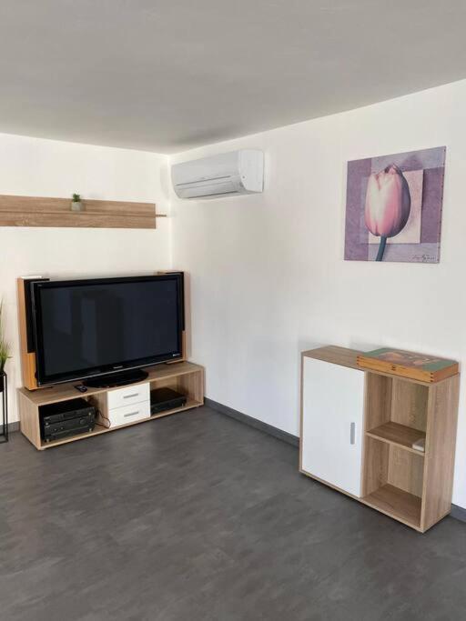 Ferienwohnung Felina Pasov Exteriér fotografie