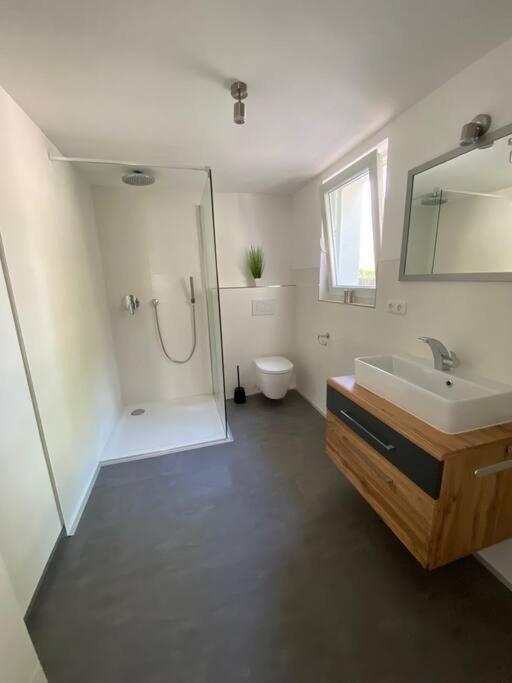 Ferienwohnung Felina Pasov Exteriér fotografie